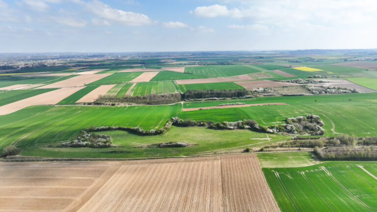 Appel à Manifestation d’Intérêt (AMI) 2026 : Proposez vos projets pour préserver l’eau du Nord Audomarois