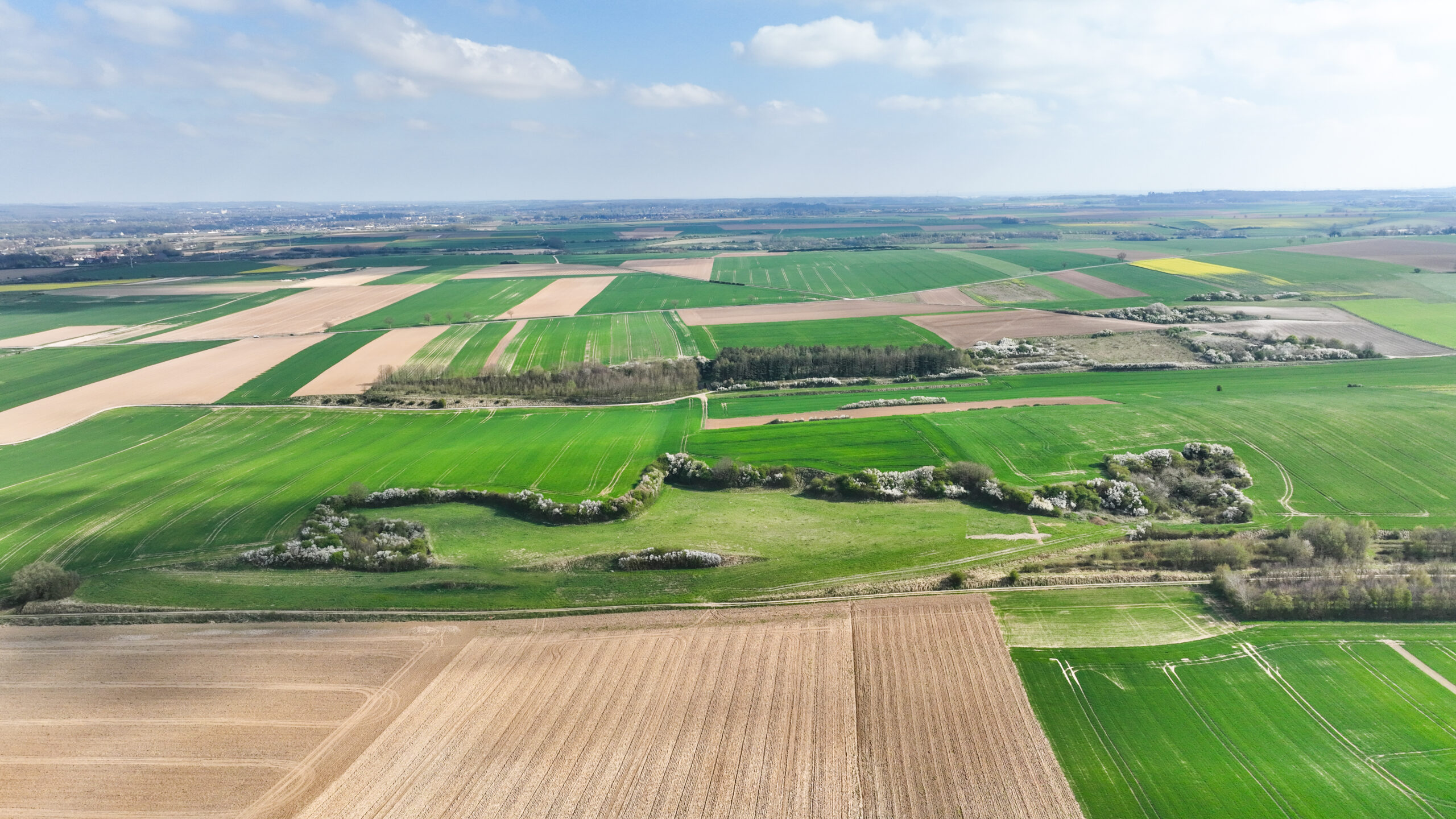 Appel à Manifestation d’Intérêt (AMI) 2026 : Proposez vos projets pour préserver l’eau du Nord Audomarois